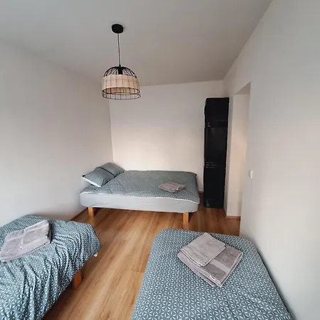 Guest